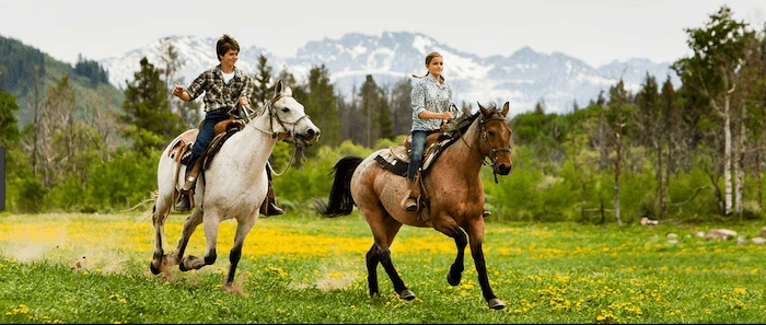 Confident plus-size woman riding Camden a horse through a field with a smile on her face.
